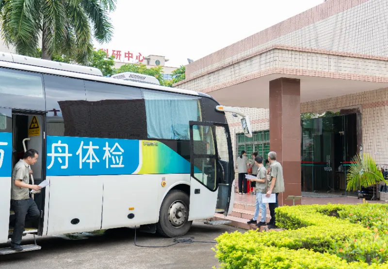 Physical Examination