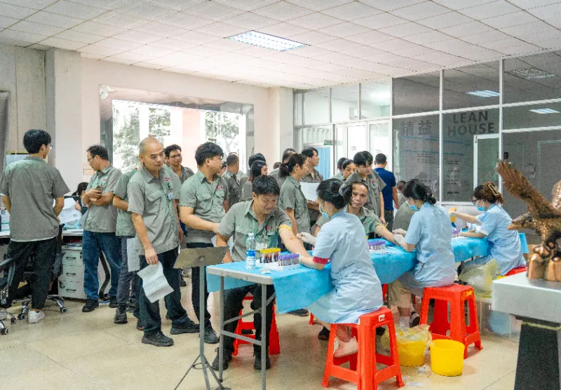 Physical Examination